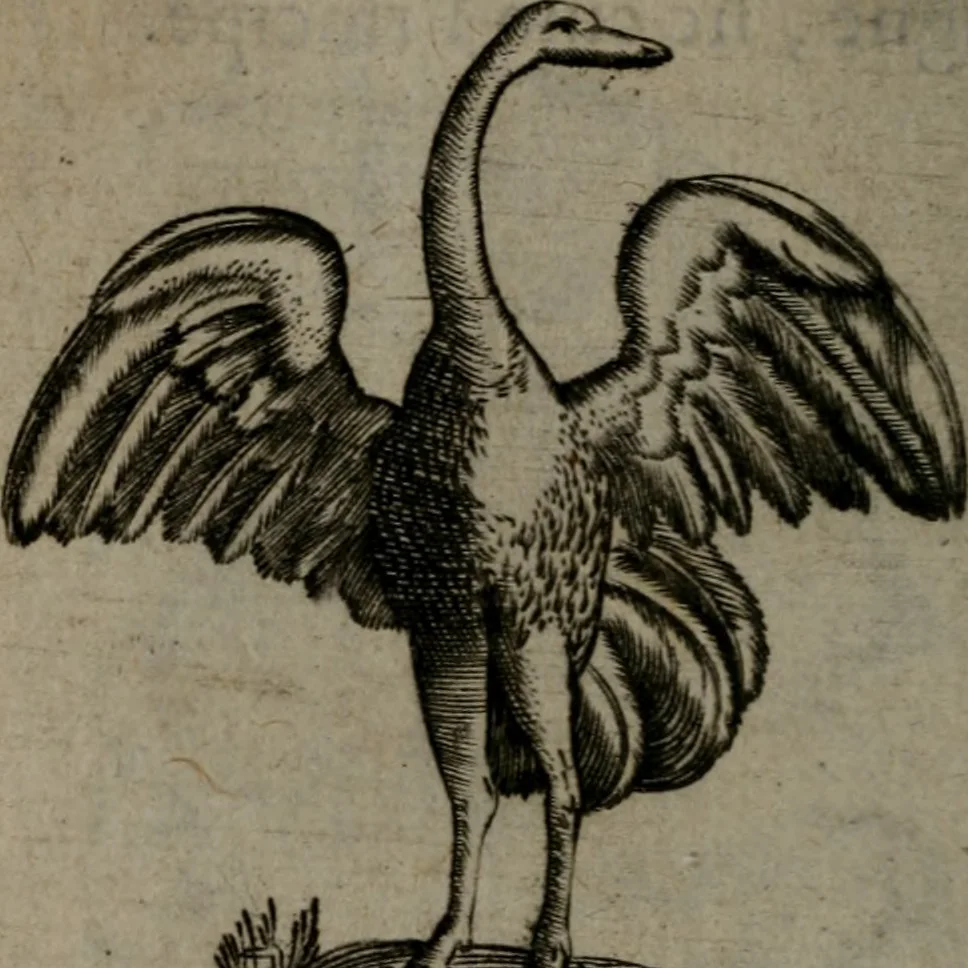 An illustration from Devises heroiques, et emblemes, 1614, leaf 63