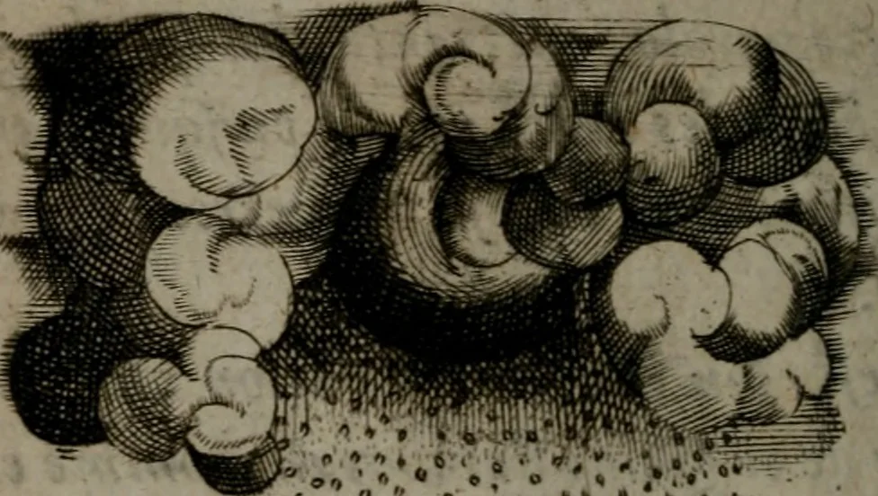 An illustration from Devises heroiques, et emblemes, 1614, leaf 73