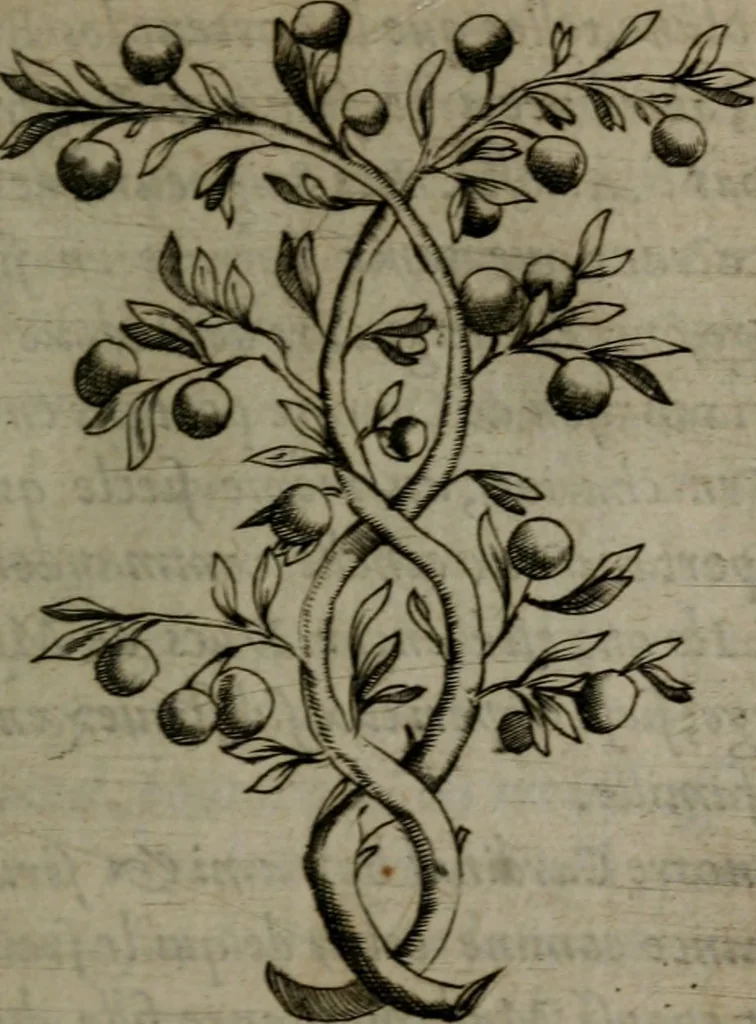 An illustration from Devises heroiques, et emblemes, 1614, leaf 76