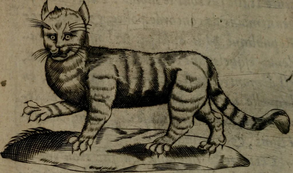 An illustration from Devises heroiques, et emblemes, 1614, leaf 85