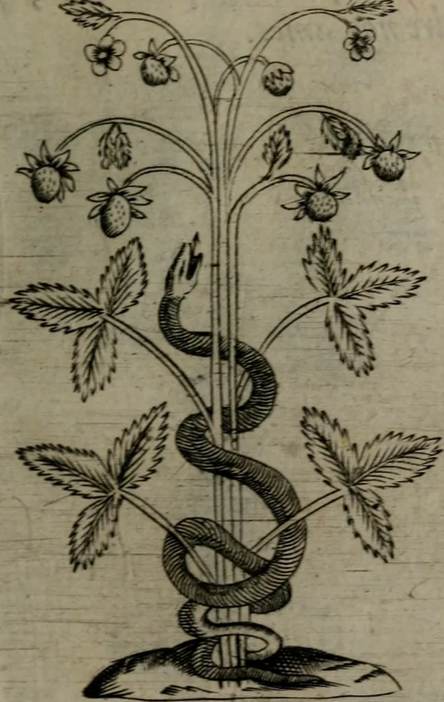 An illustration from Devises heroiques, et emblemes, 1614, leaf 96