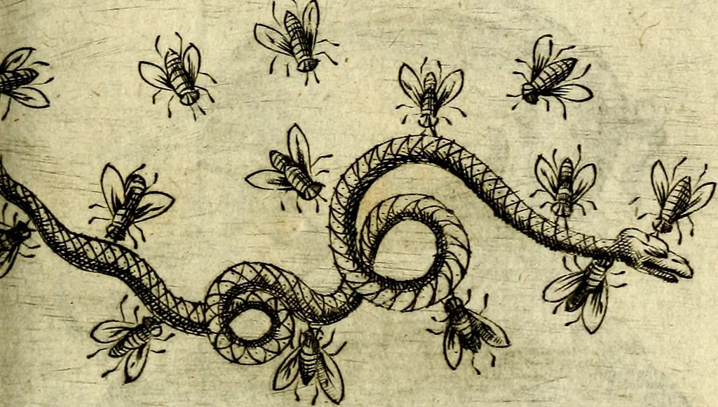 An illustration from Devises heroiques, et emblemes, 1614, leaf 116