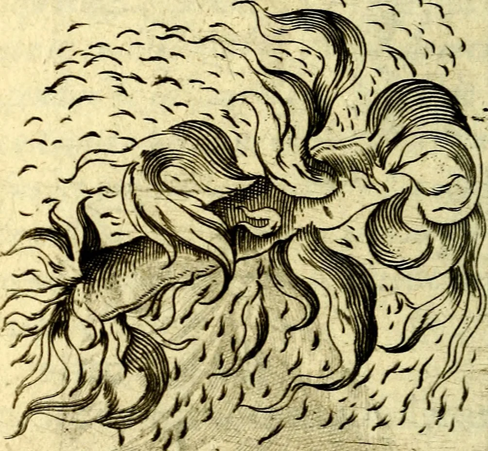 An illustration from Devises heroiques, et emblemes, 1614, leaf 187