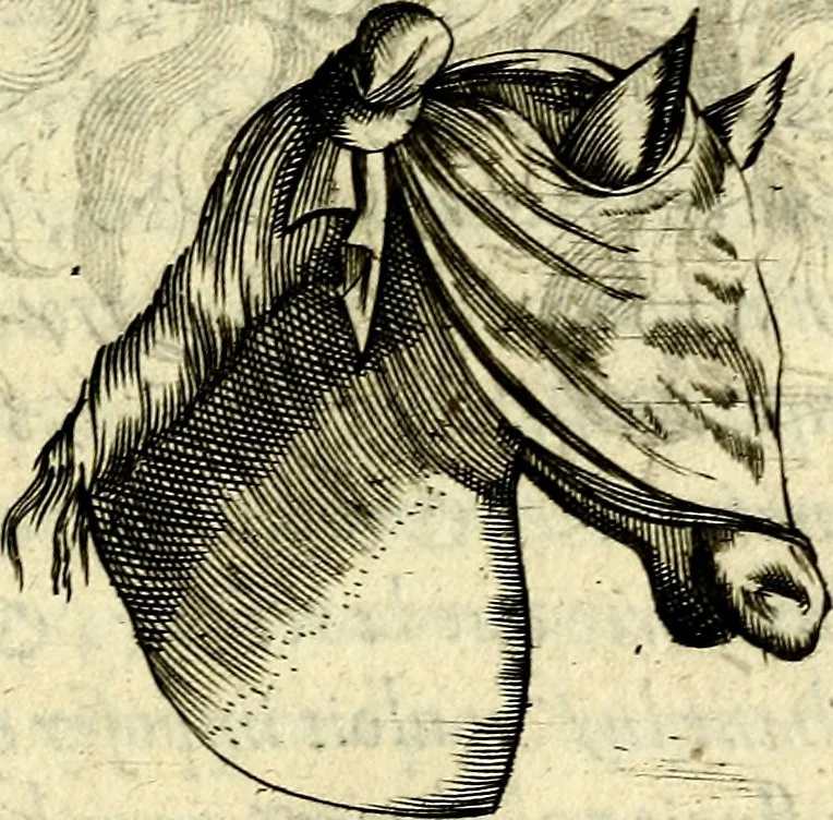 An illustration from Devises heroiques, et emblemes, 1614, leaf 188