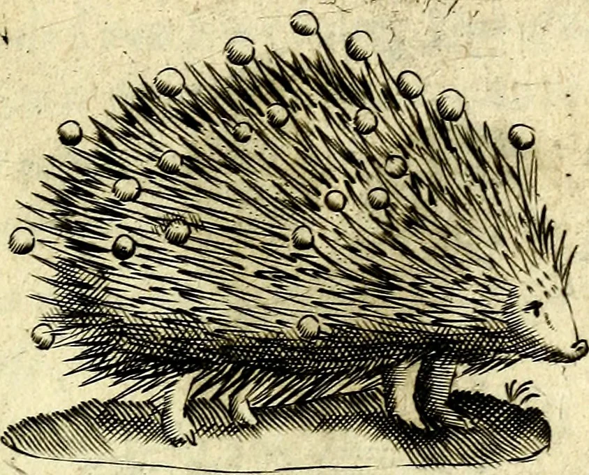 An illustration from Devises heroiques, et emblemes, 1614, leaf 190