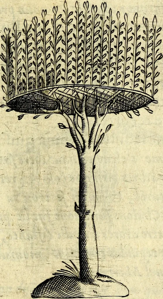 An illustration from Devises heroiques, et emblemes, 1614, leaf 202