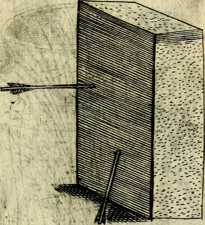 An illustration from Devises heroiques, et emblemes, 1614, leaf 212