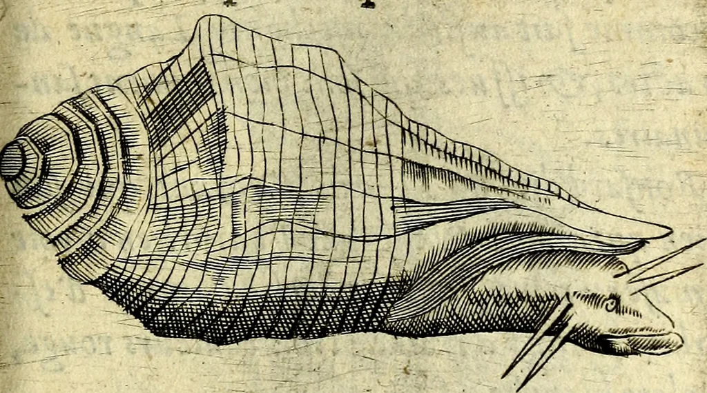 An illustration from Devises heroiques, et emblemes, 1614, leaf 216