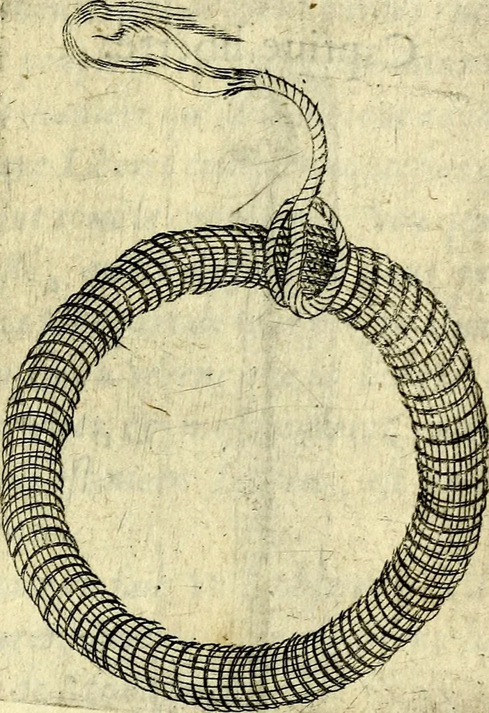 An illustration from Devises heroiques, et emblemes, 1614, leaf 232