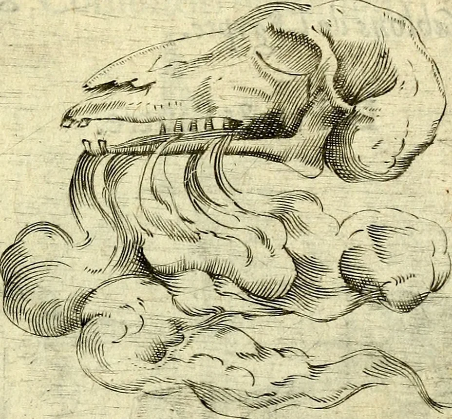 An illustration from Devises heroiques, et emblemes, 1614, leaf 238