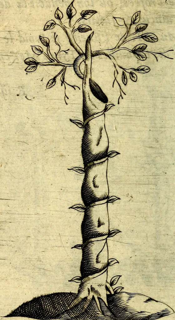 An illustration from Devises heroiques, et emblemes, 1614, leaf 269