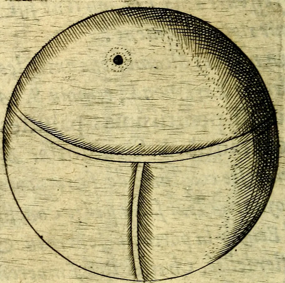 An illustration from Devises heroiques, et emblemes, 1614, leaf 303