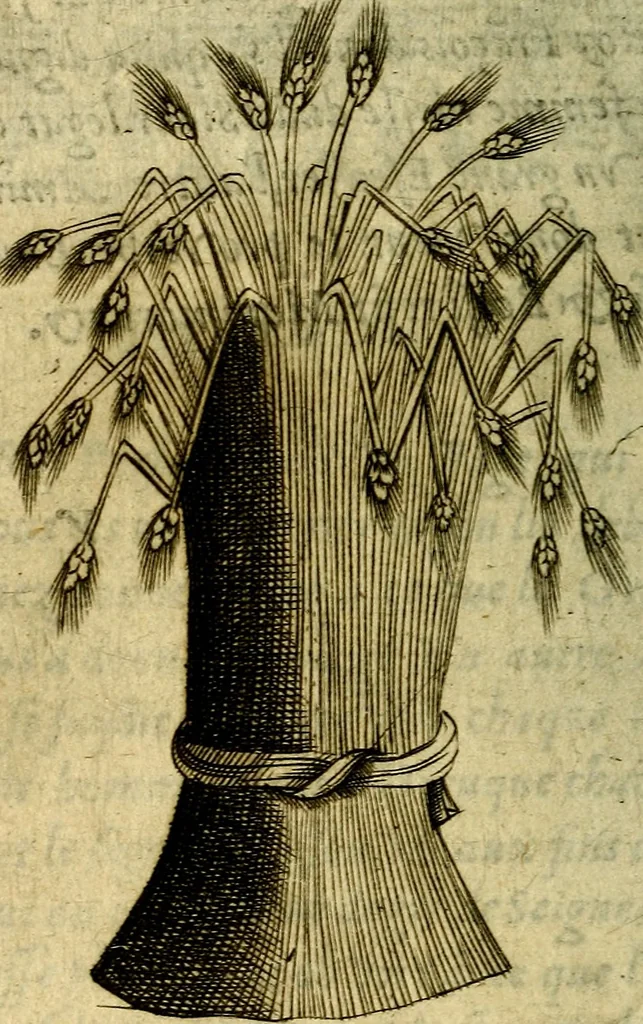 An illustration from Devises heroiques, et emblemes, 1614, leaf 313