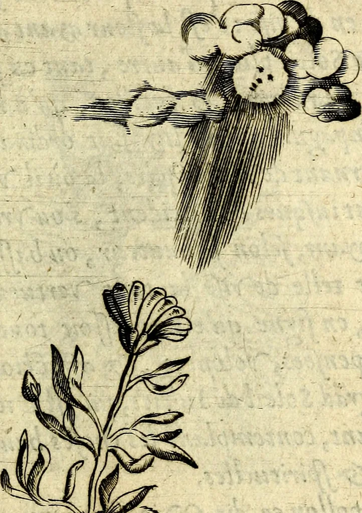 An illustration from Devises heroiques, et emblemes, 1614, leaf 52