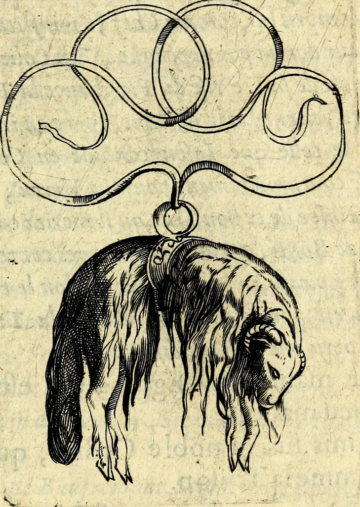 An illustration from Devises heroiques, et emblemes, 1614, leaf 56
