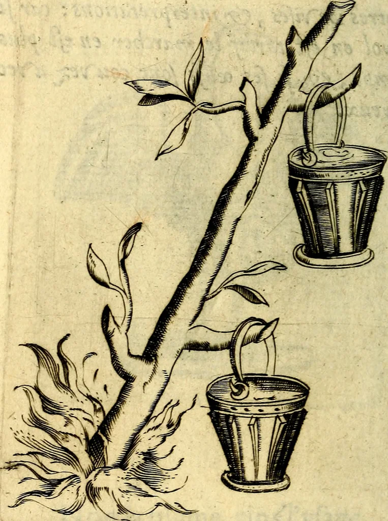 An illustration from Devises heroiques, et emblemes, 1614, leaf 65