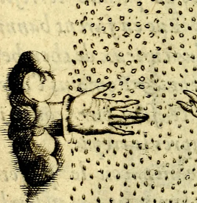 An illustration from Devises heroiques, et emblemes, 1614, leaf 73