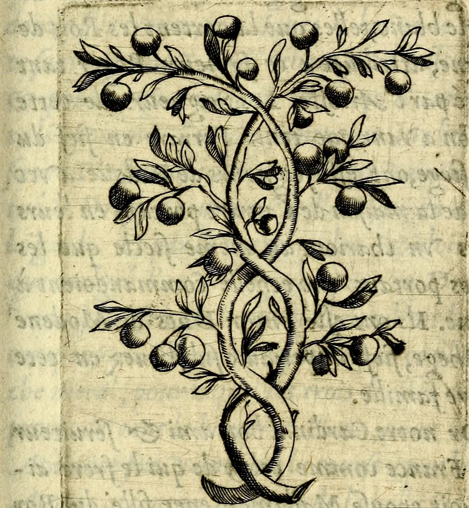 An illustration from Devises heroiques, et emblemes, 1614, leaf 76