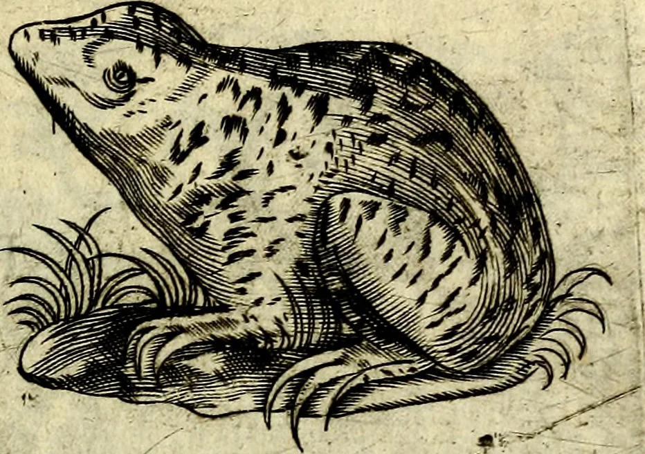 An illustration from Devises heroiques, et emblemes, 1614, leaf 86