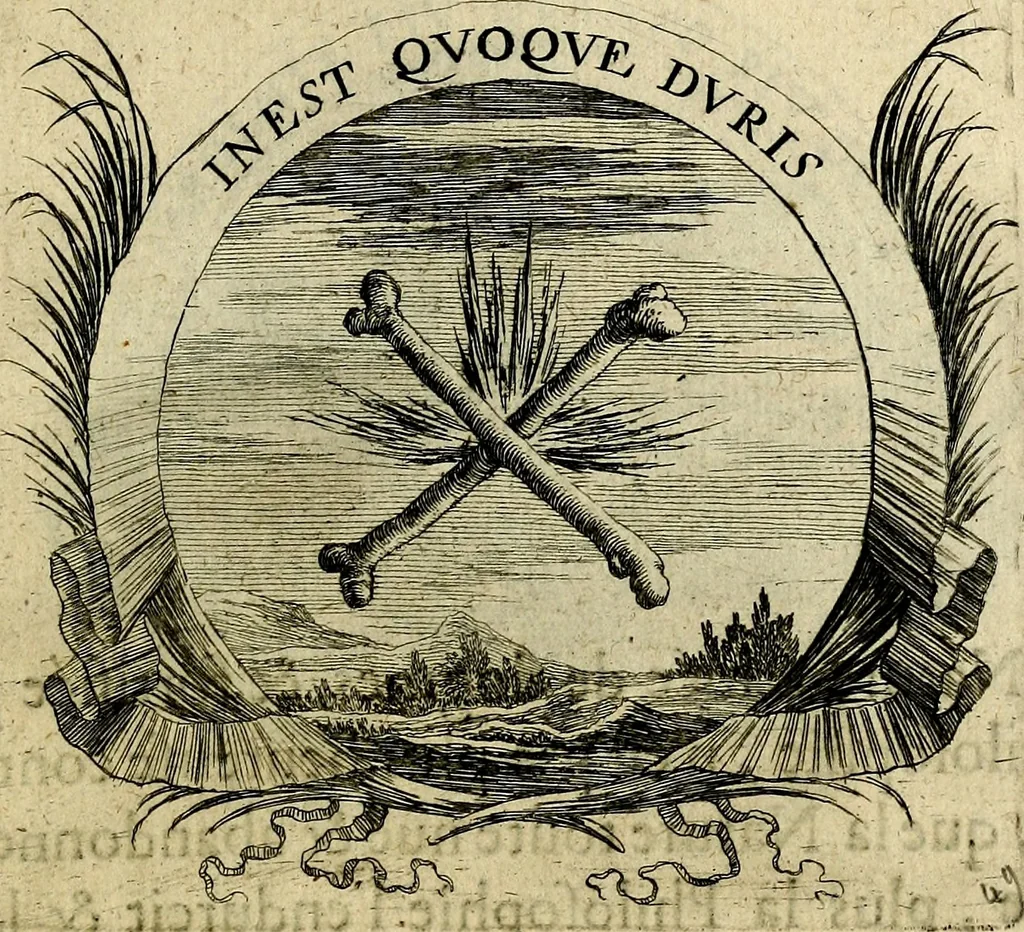 An illustration from Devises heroiqves et morales, 1649, leaf 106