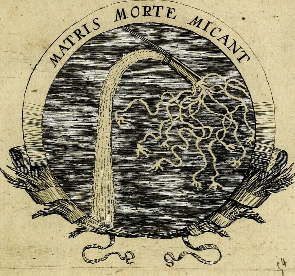 An illustration from Devises heroiqves et morales, 1649, leaf 116