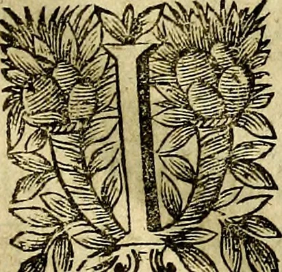 An illustration from Devises heroiqves et morales, 1649, leaf 14