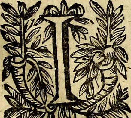 An illustration from Devises heroiqves et morales, 1649, leaf 16