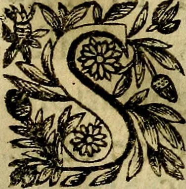 An illustration from Devises heroiqves et morales, 1649, leaf 36