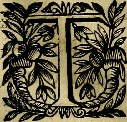 An illustration from Devises heroiqves et morales, 1649, leaf 44