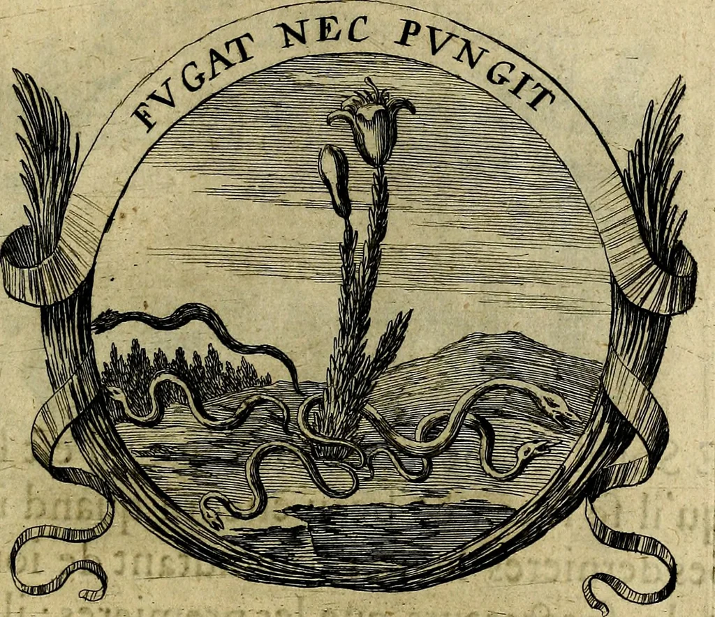 An illustration from Devises heroiqves et morales, 1649, leaf 48