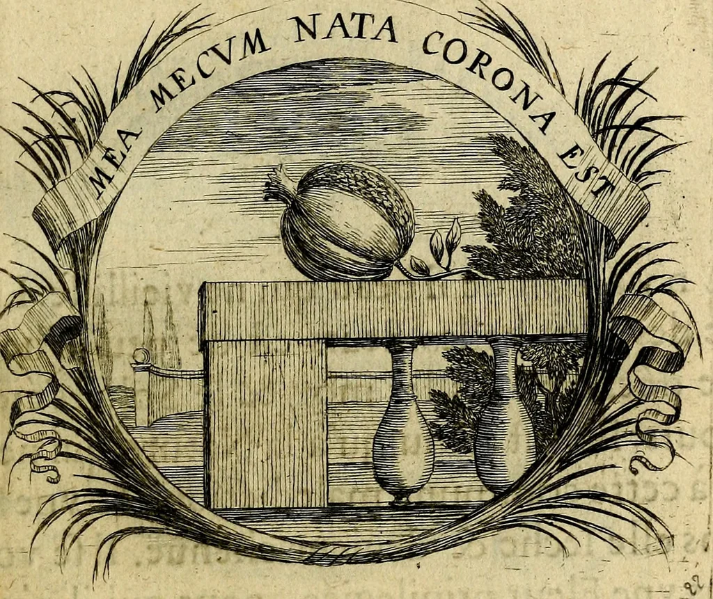 An illustration from Devises heroiqves et morales, 1649, leaf 52