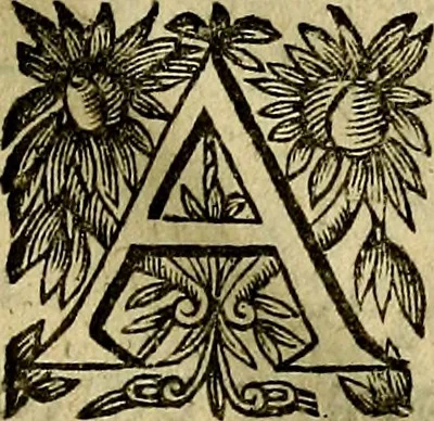 An illustration from Devises heroiqves et morales, 1649, leaf 58