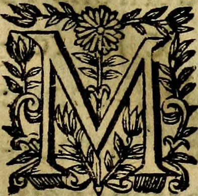 An illustration from Devises heroiqves et morales, 1649, leaf 62