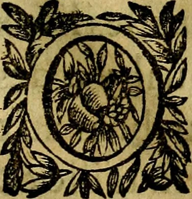 An illustration from Devises heroiqves et morales, 1649, leaf 70