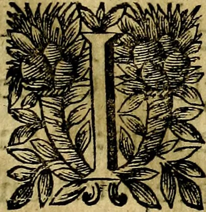 An illustration from Devises heroiqves et morales, 1649, leaf 72