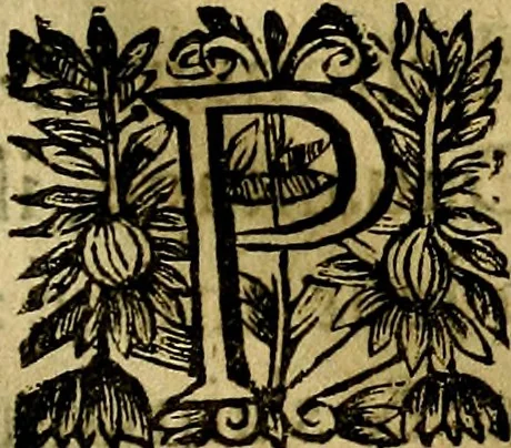 An illustration from Devises heroiqves et morales, 1649, leaf 74