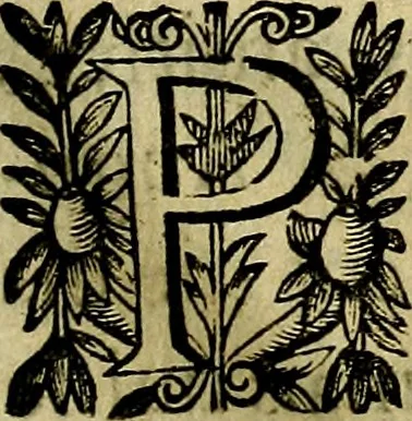An illustration from Devises heroiqves et morales, 1649, leaf 80