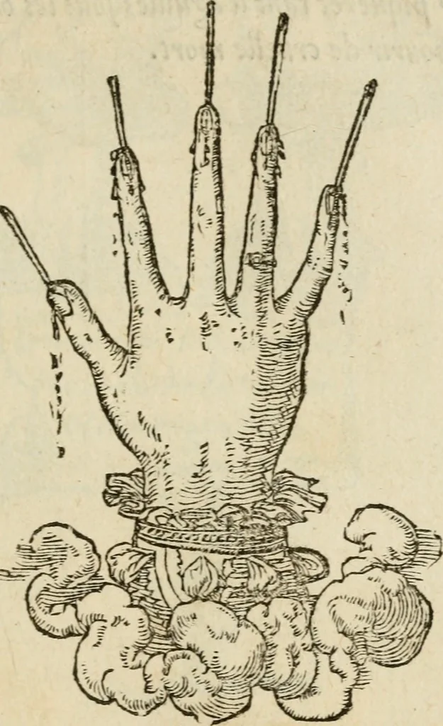 An illustration from Devises heroïqves, 1557, leaf 102