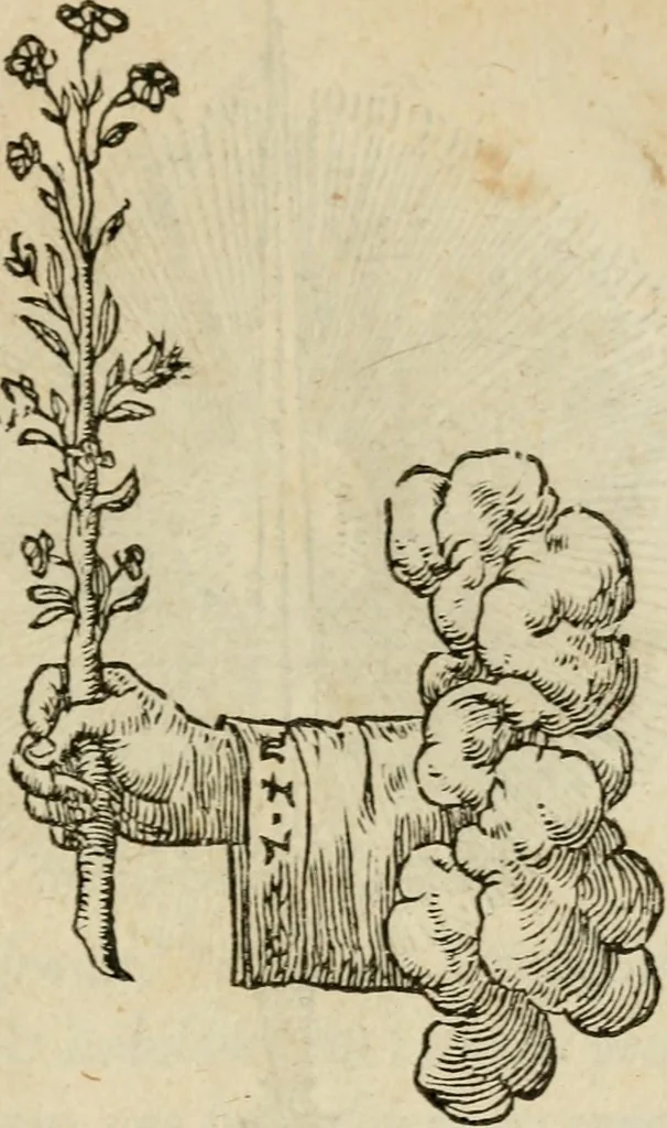 An illustration from Devises heroïqves, 1557, leaf 116