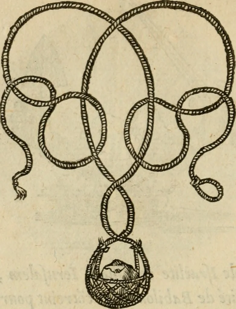 An illustration from Devises heroïqves, 1557, leaf 119