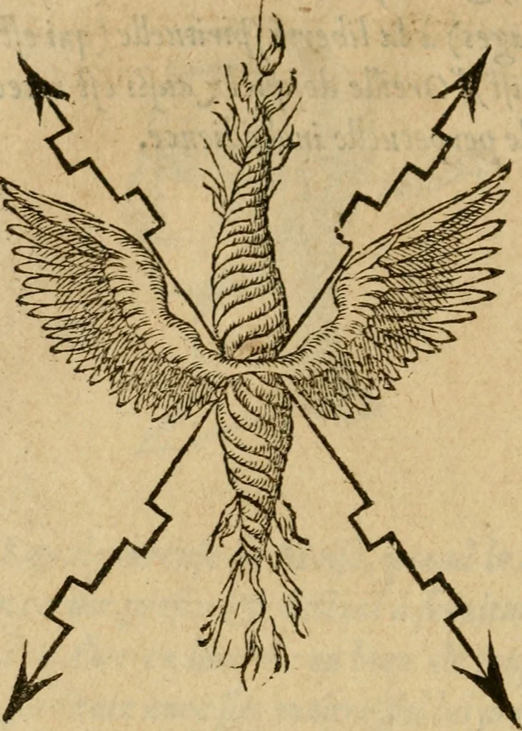 An illustration from Devises heroïqves, 1557, leaf 133