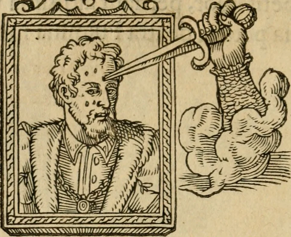 An illustration from Devises heroïqves, 1557, leaf 135