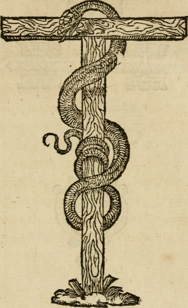 An illustration from Devises heroïqves, 1557, leaf 14
