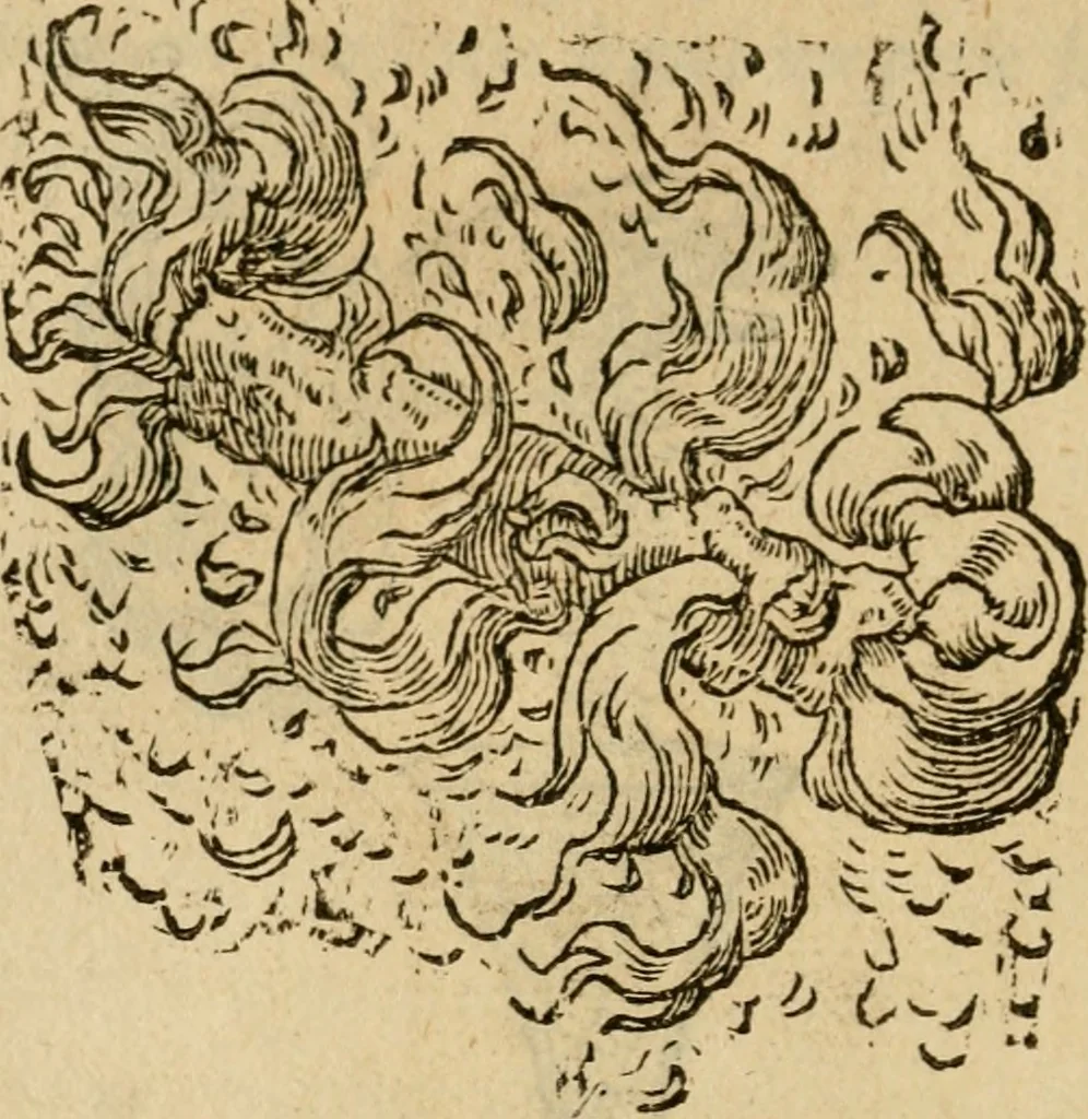 An illustration from Devises heroïqves, 1557, leaf 141