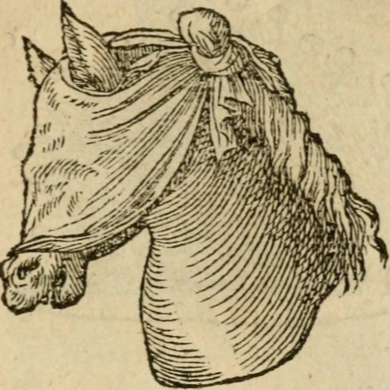 An illustration from Devises heroïqves, 1557, leaf 142