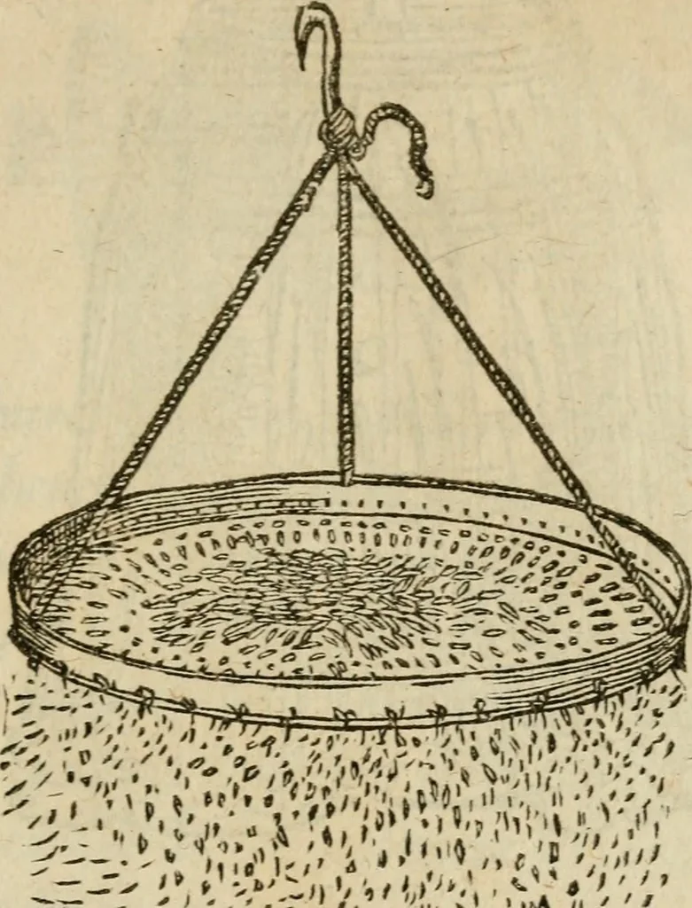 An illustration from Devises heroïqves, 1557, leaf 148