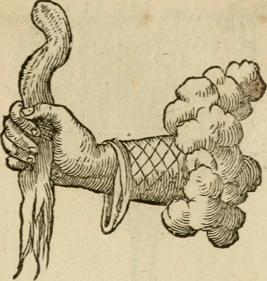An illustration from Devises heroïqves, 1557, leaf 152