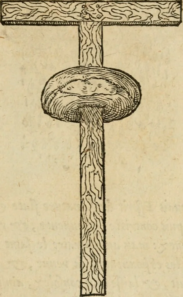 An illustration from Devises heroïqves, 1557, leaf 16
