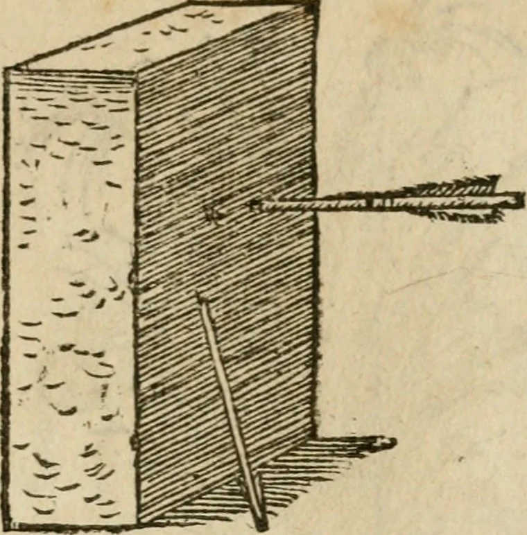 An illustration from Devises heroïqves, 1557, leaf 162