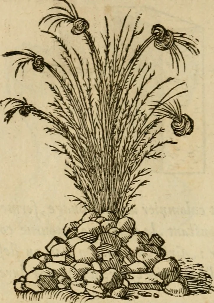 An illustration from Devises heroïqves, 1557, leaf 163